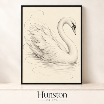 Pencil sketch of a swan gliding on water with flowing lines on cream