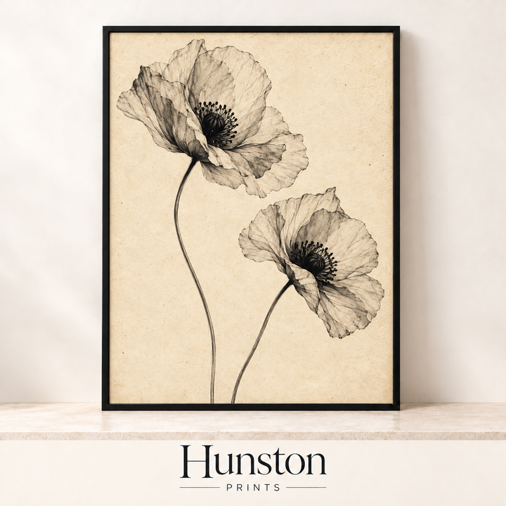 Delicate Poppies Ink Sketch Print