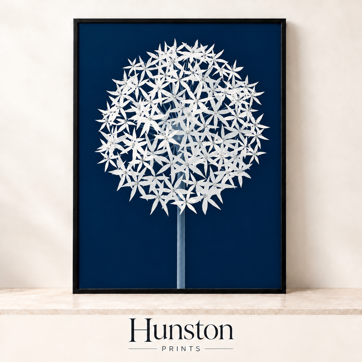 Single white allium flower on a navy background