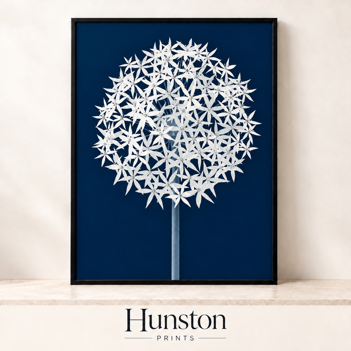White Allium on Navy Botanical Print