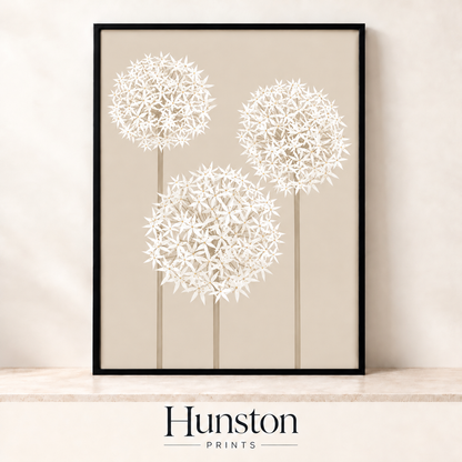 Three white allium flowers on tall stems against beige