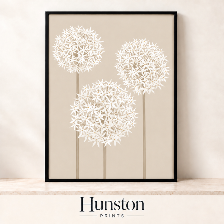 Three White Alliums on Beige Print