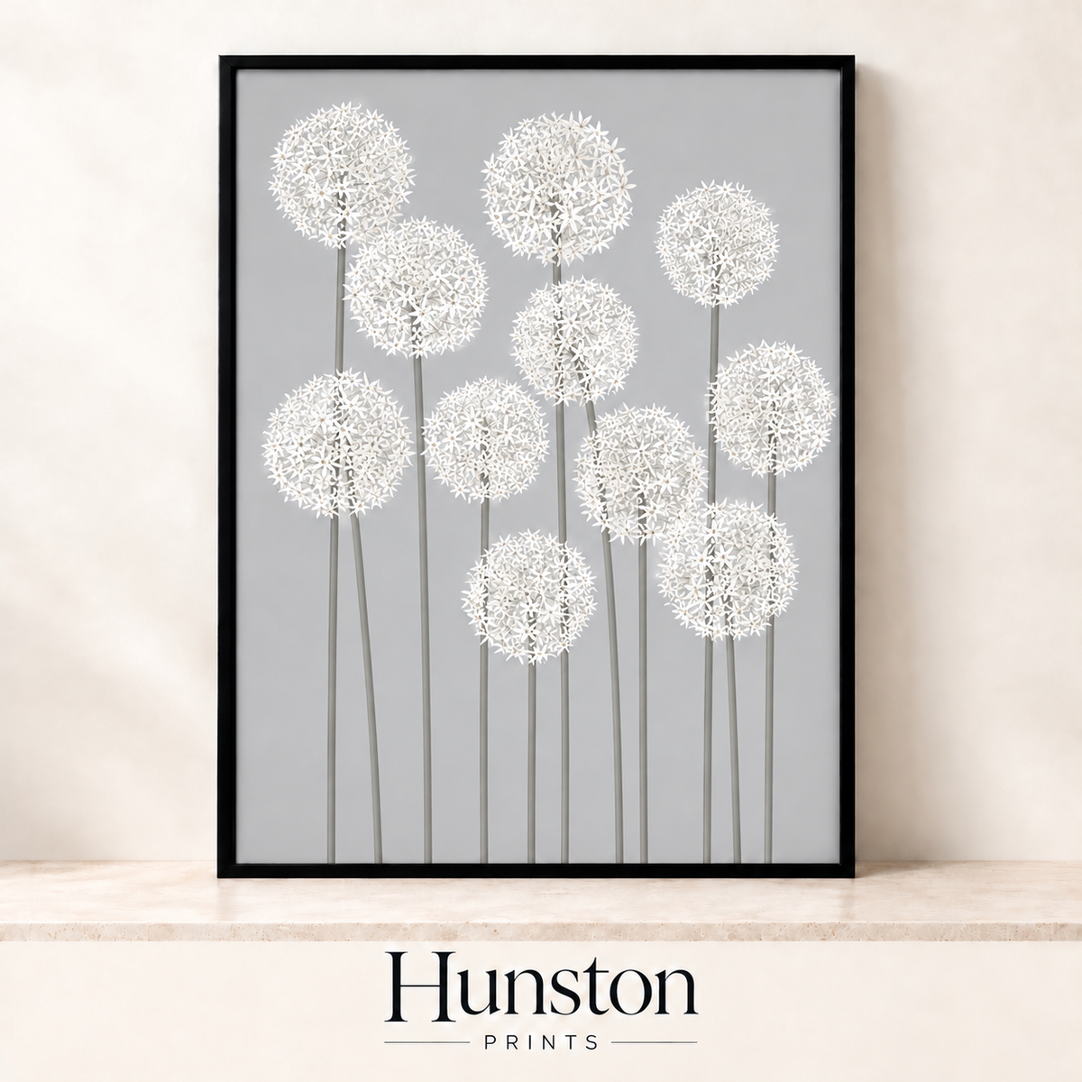 Many white allium flowers on tall stems against grey