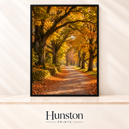 Country lane under an avenue of golden autumn trees with fallen leaves and a mossy stone wall