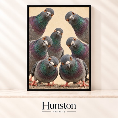 Group of curious pigeons with iridescent feathers staring straight at the viewer