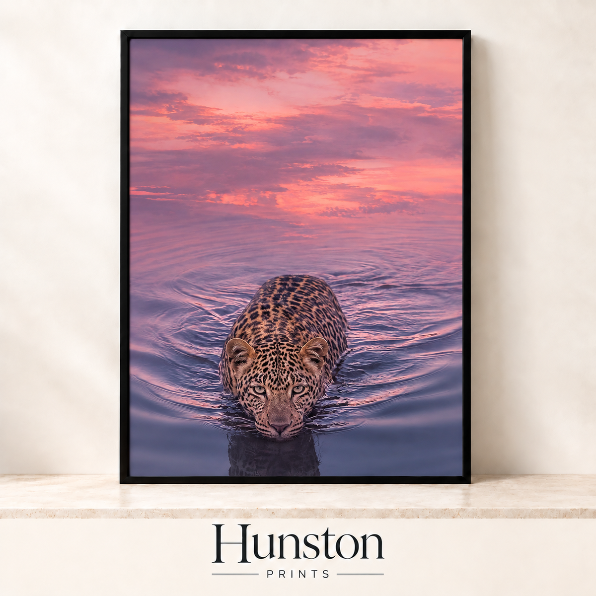 Leopard swimming towards the viewer through purple water at sunset