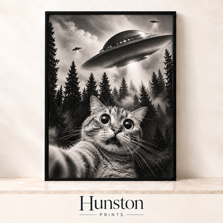 Cat Selfie with a UFO Print
