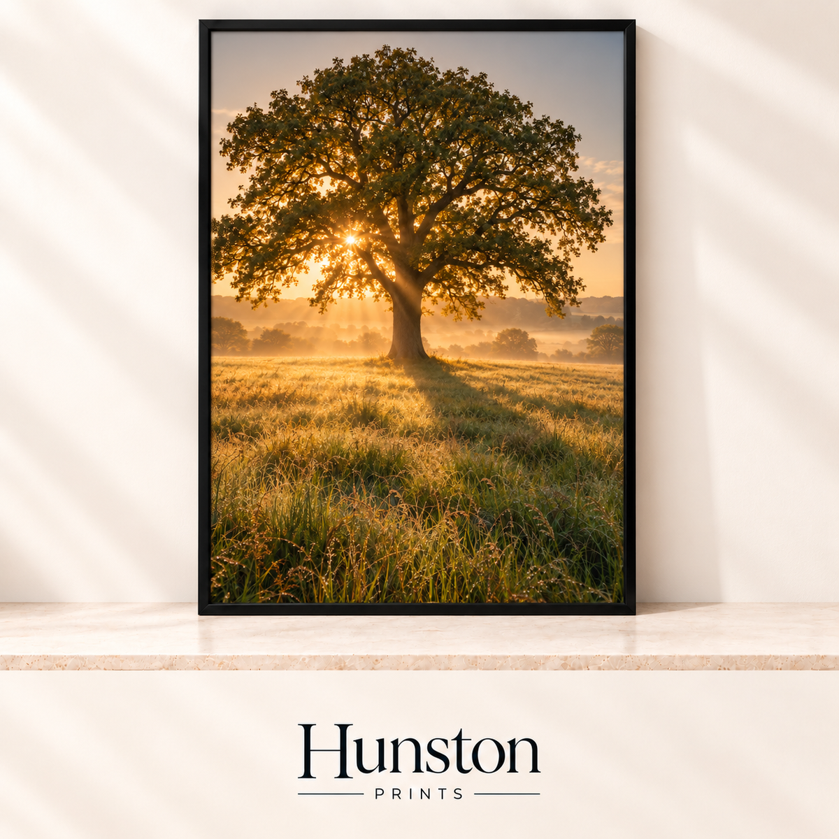 Lone oak tree in a dewy meadow with the sunrise shining through its branches