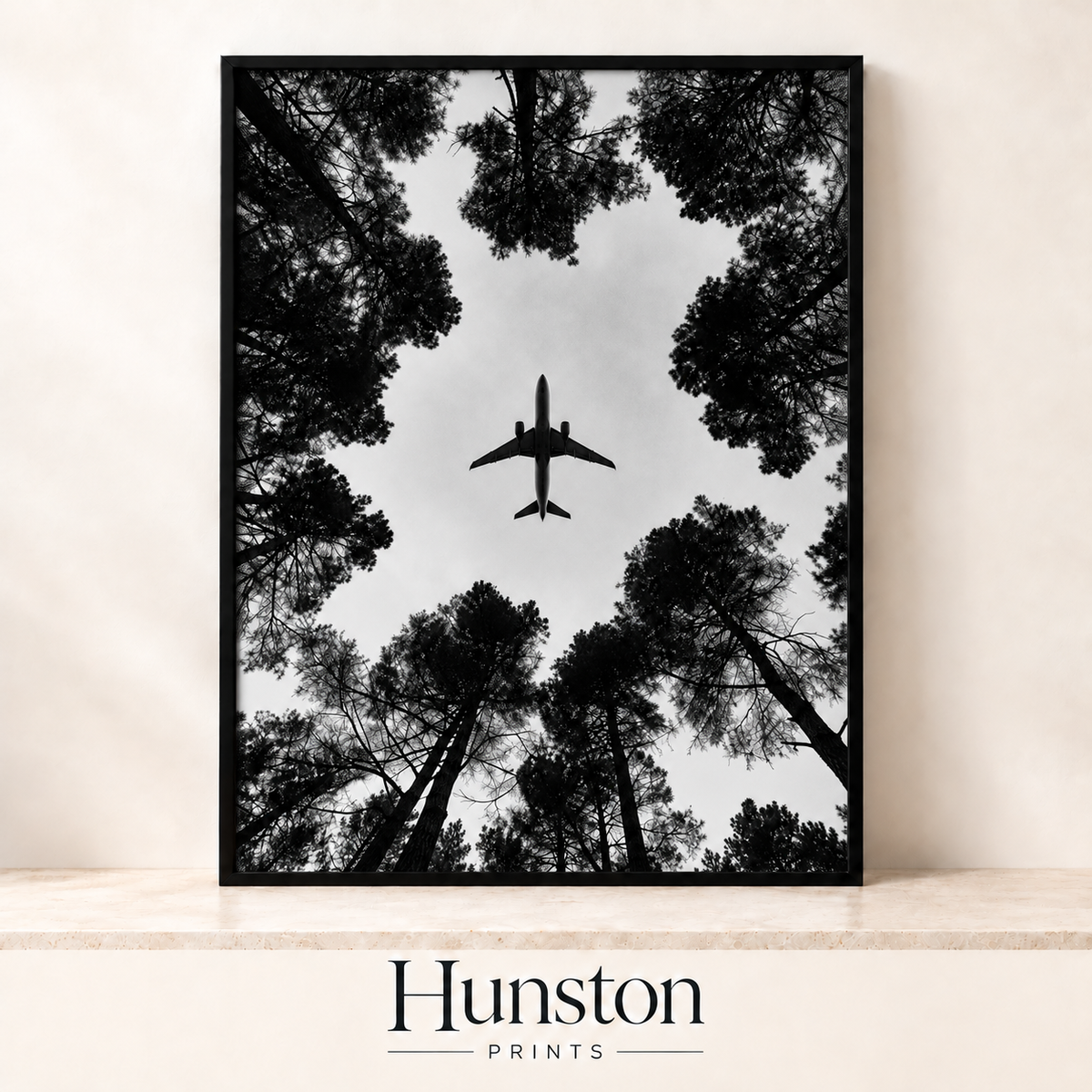 Plane flying overhead seen through a ring of tall pine trees