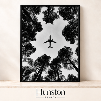Plane flying overhead seen through a ring of tall pine trees