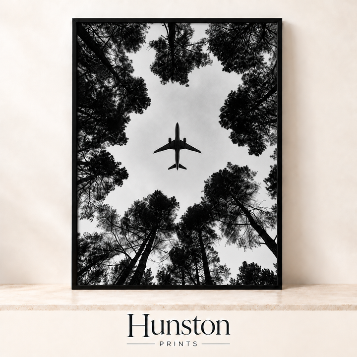 Plane Over Forest Print